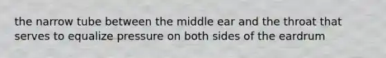 the narrow tube between the middle ear and the throat that serves to equalize pressure on both sides of the eardrum