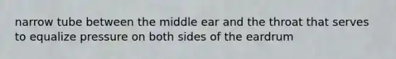 narrow tube between the middle ear and the throat that serves to equalize pressure on both sides of the eardrum