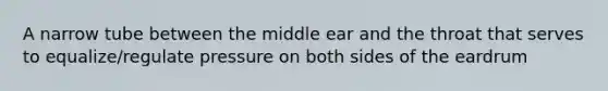 A narrow tube between the middle ear and the throat that serves to equalize/regulate pressure on both sides of the eardrum