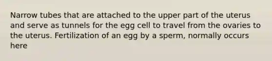 Narrow tubes that are attached to the upper part of the uterus and serve as tunnels for the egg cell to travel from the ovaries to the uterus. Fertilization of an egg by a sperm, normally occurs here