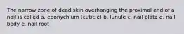 The narrow zone of dead skin overhanging the proximal end of a nail is called a. eponychium (cuticle) b. lunule c. nail plate d. nail body e. nail root