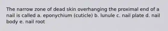 The narrow zone of dead skin overhanging the proximal end of a nail is called a. eponychium (cuticle) b. lunule c. nail plate d. nail body e. nail root