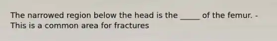 The narrowed region below the head is the _____ of the femur. - This is a common area for fractures