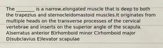 The ________ is a narrow,elongated muscle that is deep to both the trapezius and sternocleidomastoid muscles.It originates from multiple heads on the transverse processes of the cervical vertebrae and inserts on the superior angle of the scapula. A)serratus anterior B)rhomboid minor C)rhomboid major D)subclavius E)levator scapulae