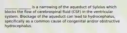 _______ _______ is a narrowing of the aqueduct of Sylvius which blocks the flow of cerebrospinal fluid (CSF) in the ventricular system. Blockage of the aqueduct can lead to hydrocephalus, specifically as a common cause of congenital and/or obstructive hydrocephalus.