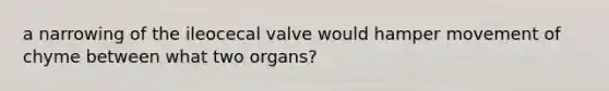 a narrowing of the ileocecal valve would hamper movement of chyme between what two organs?