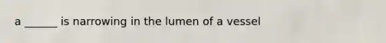 a ______ is narrowing in the lumen of a vessel