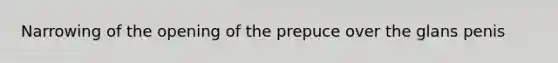 Narrowing of the opening of the prepuce over the glans penis