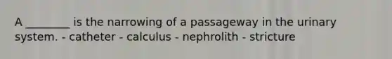 A ________ is the narrowing of a passageway in the urinary system. - catheter - calculus - nephrolith - stricture