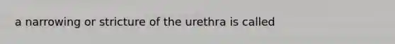 a narrowing or stricture of the urethra is called