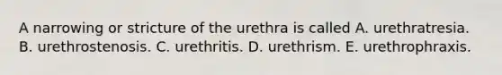 A narrowing or stricture of the urethra is called A. urethratresia. B. urethrostenosis. C. urethritis. D. urethrism. E. urethrophraxis.