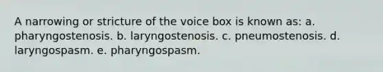 A narrowing or stricture of the voice box is known as: a. pharyngostenosis. b. laryngostenosis. c. pneumostenosis. d. laryngospasm. e. pharyngospasm.