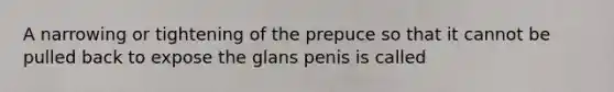 A narrowing or tightening of the prepuce so that it cannot be pulled back to expose the glans penis is called