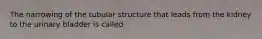 The narrowing of the tubular structure that leads from the kidney to the urinary bladder is called