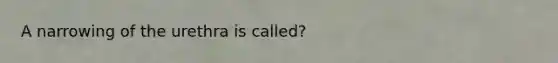 A narrowing of the urethra is called?