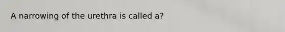 A narrowing of the urethra is called a?