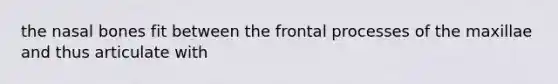 the nasal bones fit between the frontal processes of the maxillae and thus articulate with