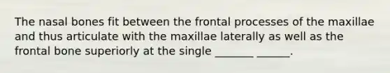 The nasal bones fit between the frontal processes of the maxillae and thus articulate with the maxillae laterally as well as the frontal bone superiorly at the single _______ ______.