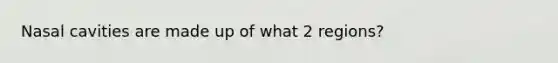 Nasal cavities are made up of what 2 regions?