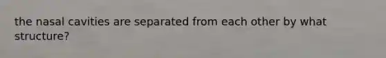 the nasal cavities are separated from each other by what structure?