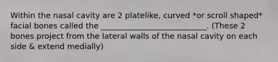 Within the nasal cavity are 2 platelike, curved *or scroll shaped* facial bones called the ___________________________. (These 2 bones project from the lateral walls of the nasal cavity on each side & extend medially)