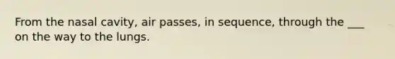 From the nasal cavity, air passes, in sequence, through the ___ on the way to the lungs.