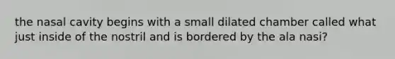 the nasal cavity begins with a small dilated chamber called what just inside of the nostril and is bordered by the ala nasi?