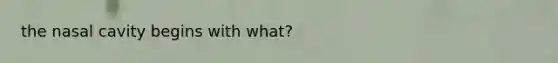 the nasal cavity begins with what?