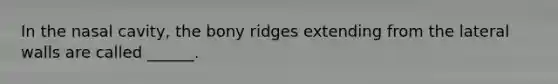 In the nasal cavity, the bony ridges extending from the lateral walls are called ______.