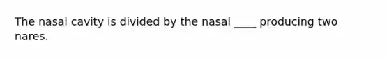 The nasal cavity is divided by the nasal ____ producing two nares.