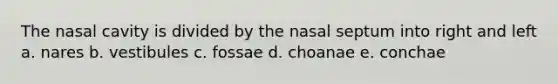 The nasal cavity is divided by the nasal septum into right and left a. nares b. vestibules c. fossae d. choanae e. conchae