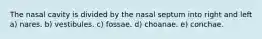 The nasal cavity is divided by the nasal septum into right and left a) nares. b) vestibules. c) fossae. d) choanae. e) conchae.