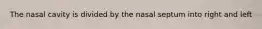 The nasal cavity is divided by the nasal septum into right and left