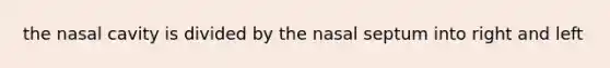 the nasal cavity is divided by the nasal septum into right and left