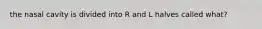 the nasal cavity is divided into R and L halves called what?