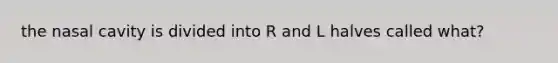 the nasal cavity is divided into R and L halves called what?