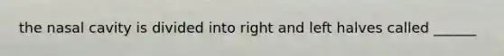 the nasal cavity is divided into right and left halves called ______