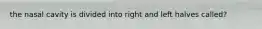 the nasal cavity is divided into right and left halves called?