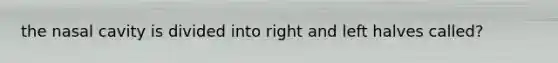 the nasal cavity is divided into right and left halves called?