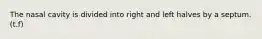 The nasal cavity is divided into right and left halves by a septum. (t.f)