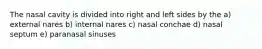 The nasal cavity is divided into right and left sides by the a) external nares b) internal nares c) nasal conchae d) nasal septum e) paranasal sinuses