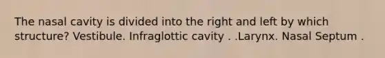 The nasal cavity is divided into the right and left by which structure? Vestibule. Infraglottic cavity . .Larynx. Nasal Septum .