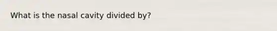 What is the nasal cavity divided by?