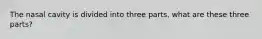 The nasal cavity is divided into three parts, what are these three parts?