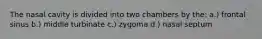 The nasal cavity is divided into two chambers by the: a.) frontal sinus b.) middle turbinate c.) zygoma d.) nasal septum