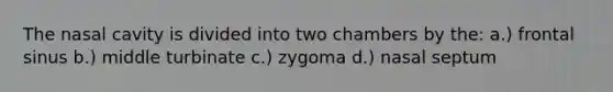 The nasal cavity is divided into two chambers by the: a.) frontal sinus b.) middle turbinate c.) zygoma d.) nasal septum