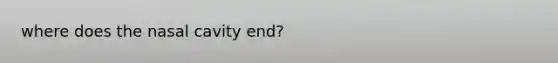 where does the nasal cavity end?