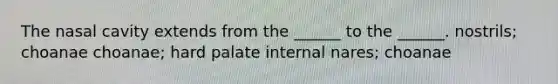 The nasal cavity extends from the ______ to the ______. nostrils; choanae choanae; hard palate internal nares; choanae