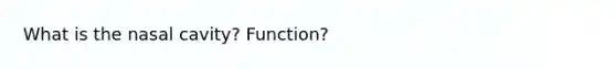 What is the nasal cavity? Function?