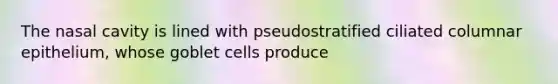 The nasal cavity is lined with pseudostratified ciliated columnar epithelium, whose goblet cells produce